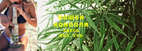 амф Россошь