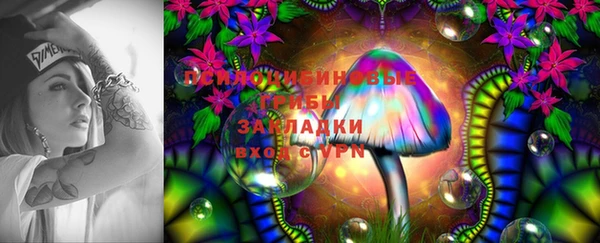 бутират Горно-Алтайск